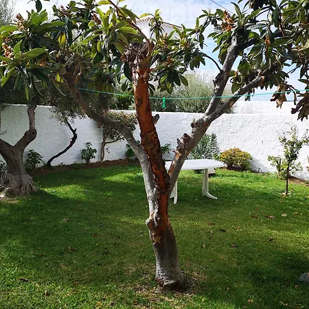 El Capistrano Resort 2*